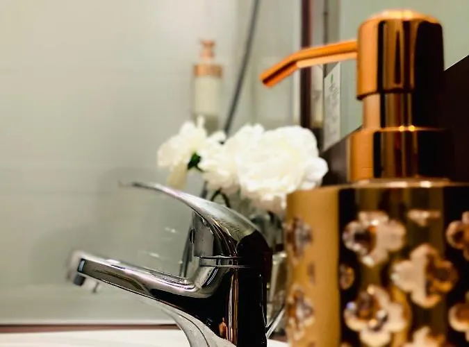 Le Midi Clermont-cournon Cournon-d'Auvergne