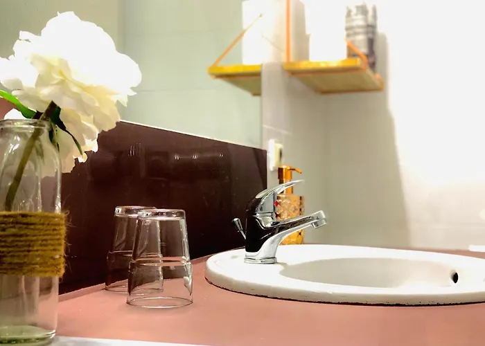 Le Midi Clermont-cournon Cournon-d'Auvergne